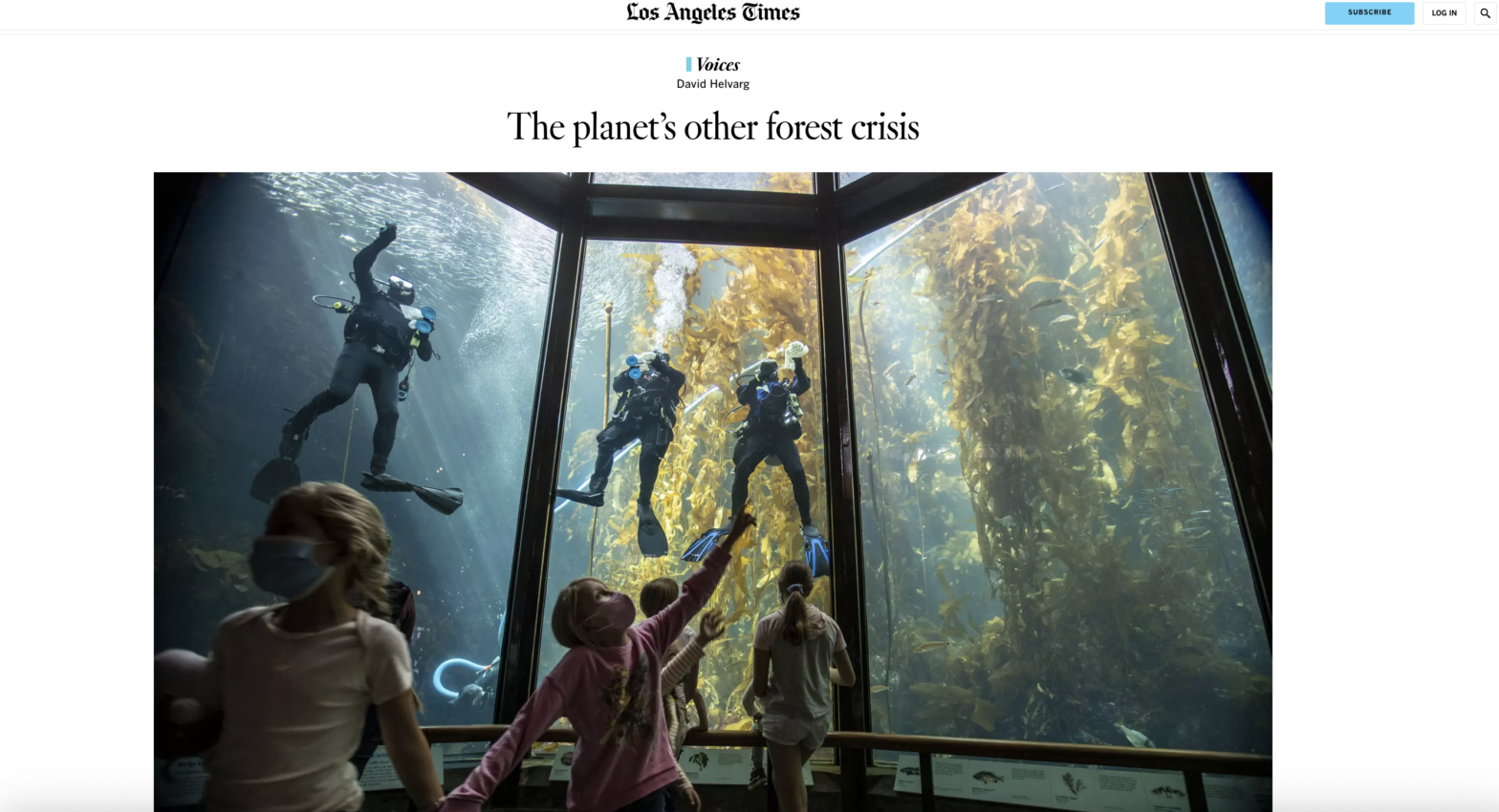 LA Times article page displaying an aquarium exhibit with SCUBA divers + kelp